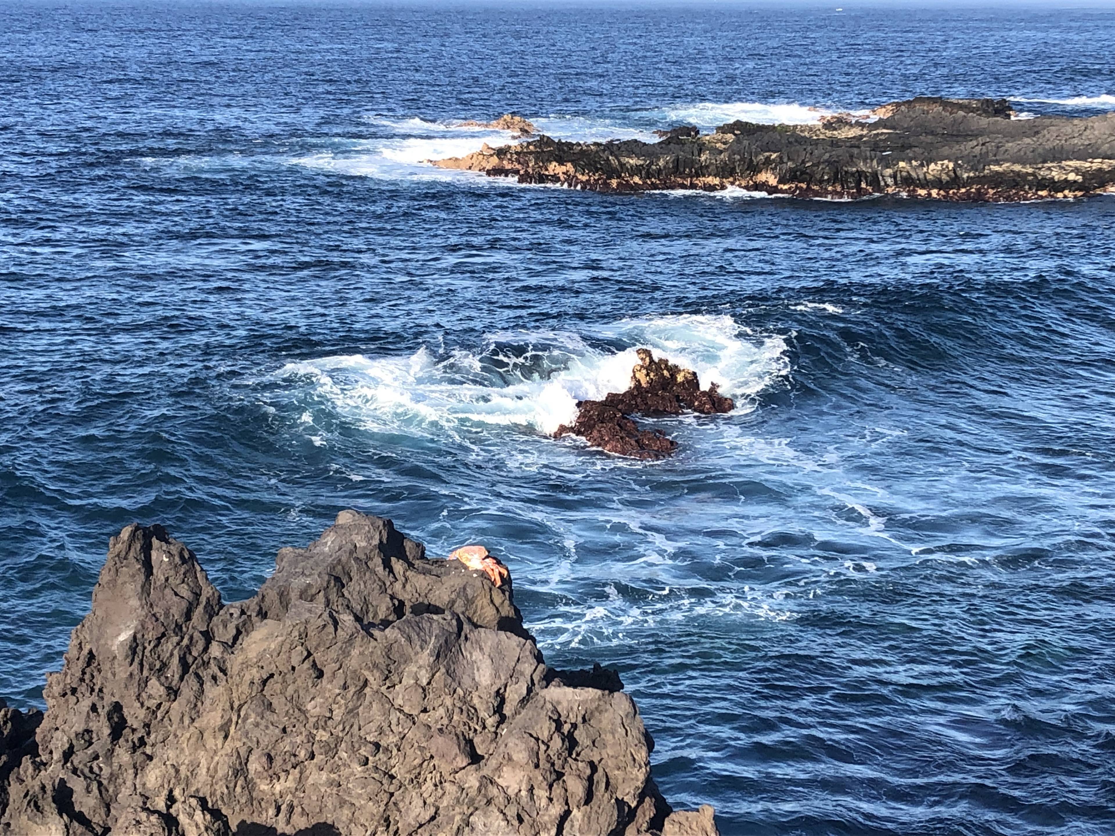 Wellen und Felsen