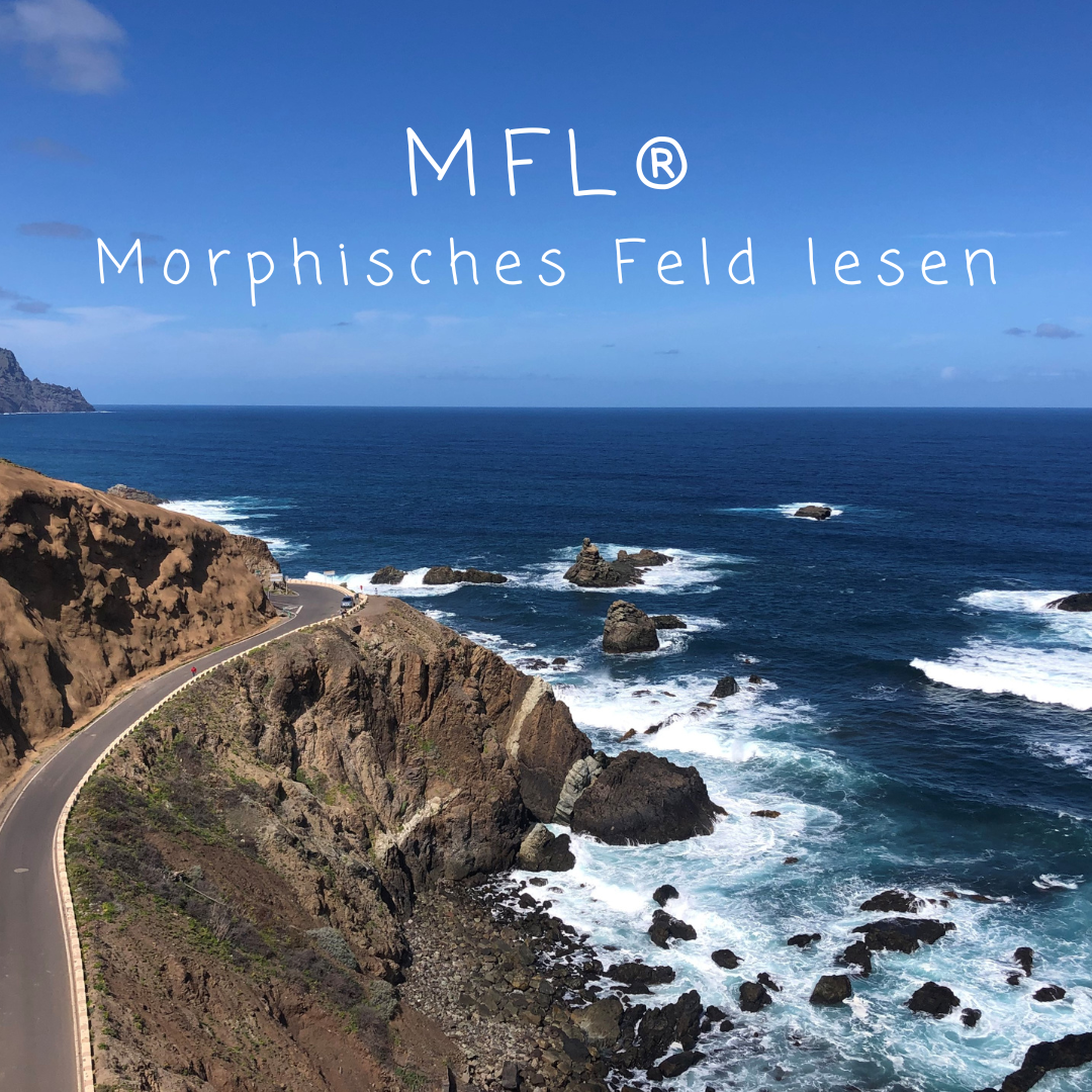 Strasse auf den Klippen im Anaga-Gebirge, Teneriffa; MFL, morphisches Feld lesen