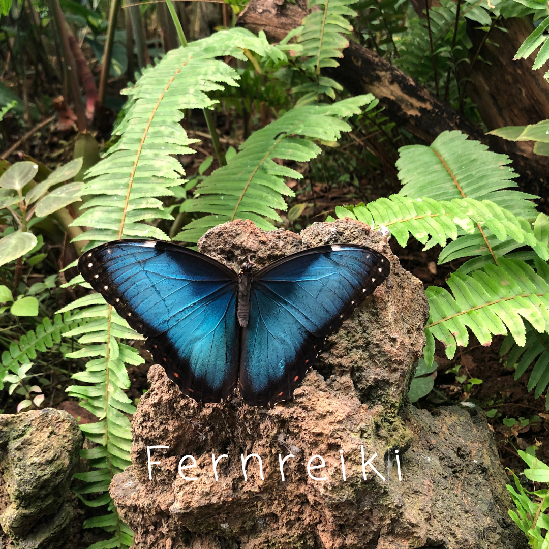 Blauer Odysseus-Schmetterling; Fernreiki, Reiki